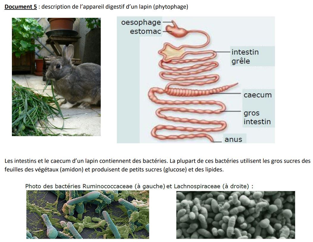 Nutrition animale - 5ème